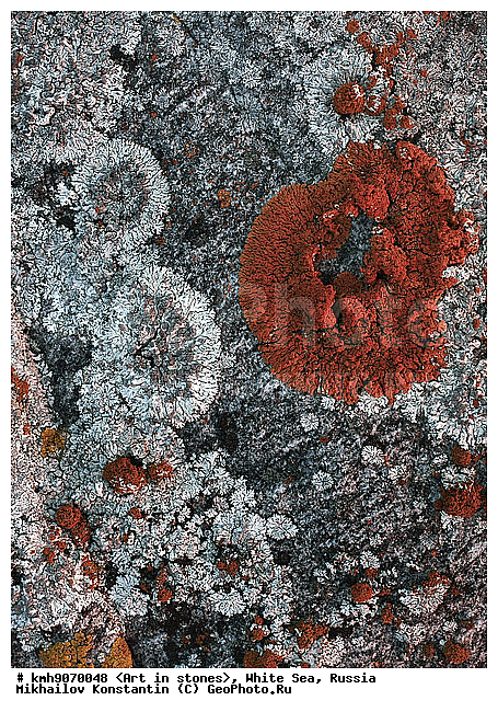 ����� ����, ������, ���, �����, ������, �����, ����, ������ �����, �������, �����, ��������, �������