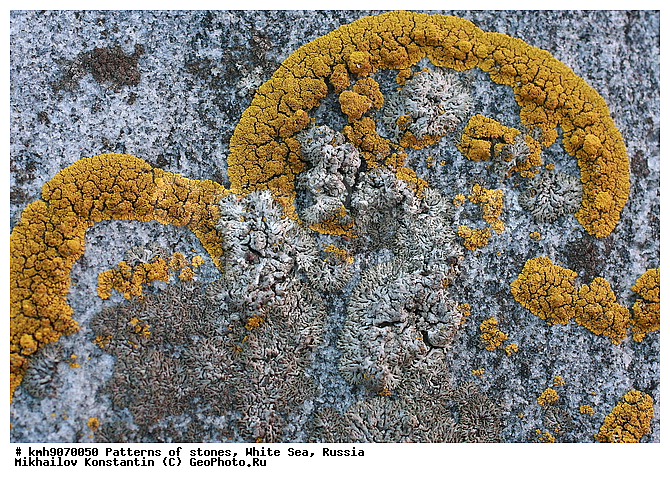 ����� ����, ������, ���, �����, ������, �����, ����, ������ �����, �������, �����, ��������, �������