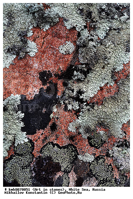 ����� ����, ������, ���, �����, ������, �����, ����, ������ �����, �������, �����, ��������, �������