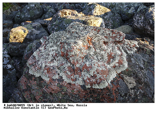 ����� ����, ������, ���, �����, ������, �����, ����, ������ �����, �������, �����, ��������, �������