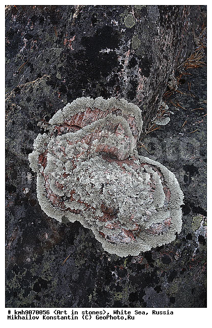 ����� ����, ������, ���, �����, ������, �����, ����, ������ �����, �������, �����, ��������, �������