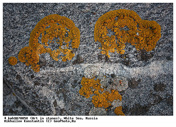 ����� ����, ������, ���, �����, ������, �����, ����, ������ �����, �������, �����, ��������, �������