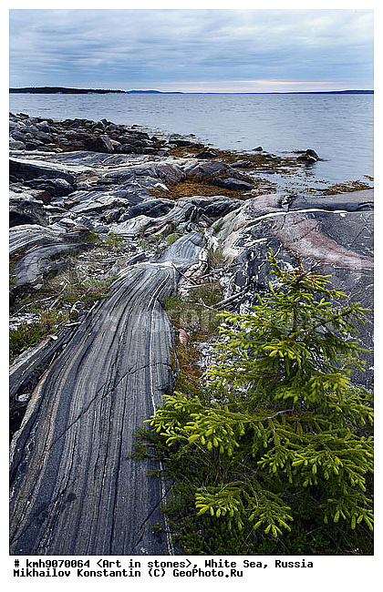 ����� ����, ������, ���, �����, ������, �����, ����, ������ �����, �������, �����, ��������, �������