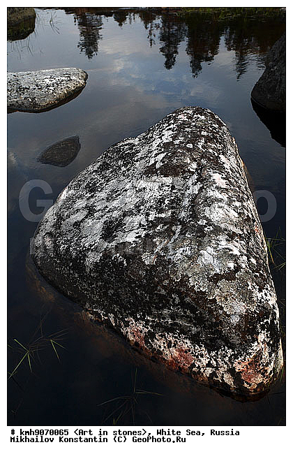 ����� ����, ������, ���, �����, ������, �����, ����, ������ �����, �������, �����, ��������, �������