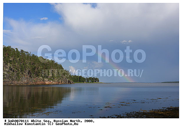 Russian North, northern Europe, landscape, trees, ��������, ������, ������� �����, ����, ������, ����� ����