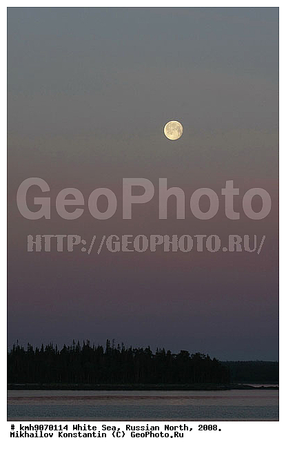 Russian North, northern Europe, landscape, trees, ��������, ������, ������� �����, ����, ������, ����� ����