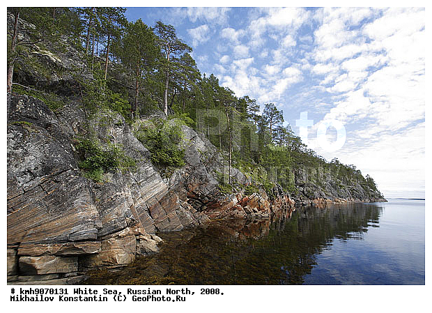 Russian North, northern Europe, landscape, trees, ��������, ������, ������� �����, ����, ������, ����� ����