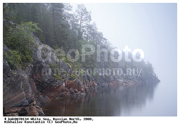 Russian North, northern Europe, landscape, trees, rocks, ��������, ������, ������� �����, ����, ������, ����� ����, �����, �����, �����