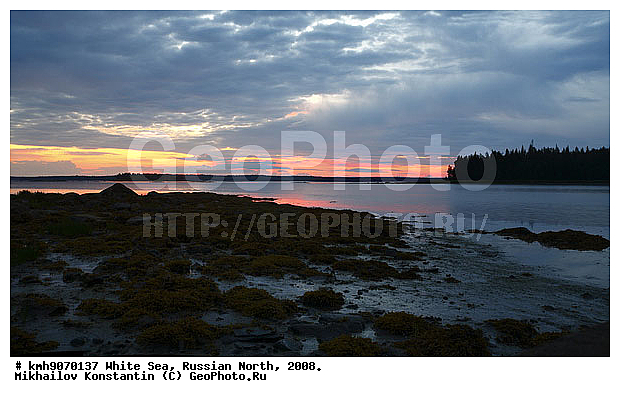 Russian North, northern Europe, landscape, trees, ��������, ������, ������� �����, ����, ������, ����� ����