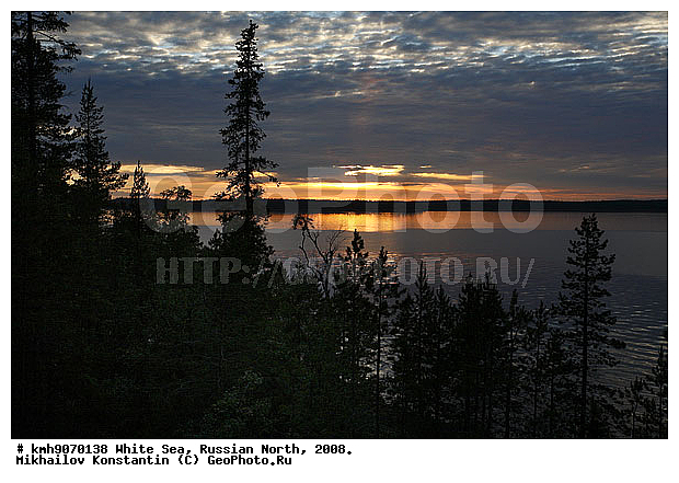 Russian North, northern Europe, landscape, trees, ��������, ������, ������� �����, ����, ������, ����� ����