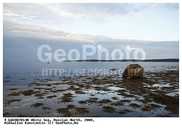 Russian North, northern Europe, landscape, trees, ��������, ������, ������� �����, ����, ������, ����� ����
