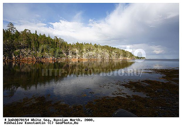 Russian North, northern Europe, landscape, trees, rocks, ��������, ������, ������� �����, ����, ������, ����� ����, �����, �����, �����