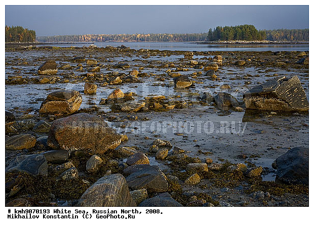  ����� ����, �������, ��������, ������, ������� �����, ��������