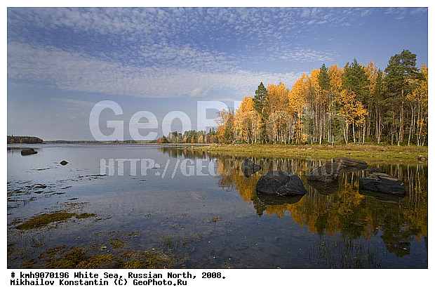  ����� ����, �������, ��������, ������, ������� �����, ��������