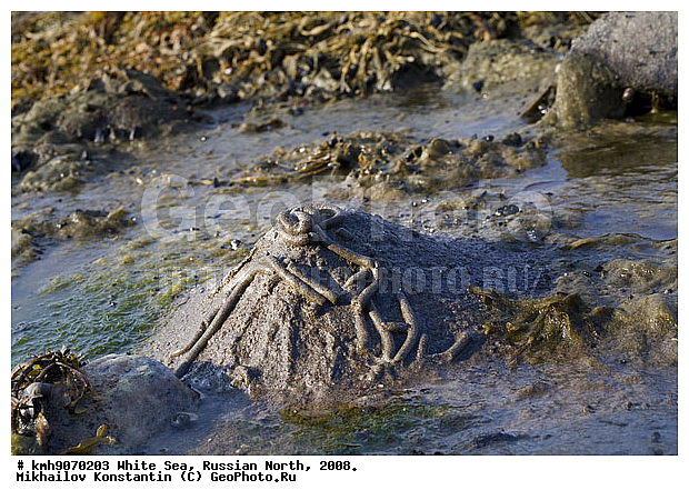  ����� ����, �������, ��������, ������, ������� �����, ��������