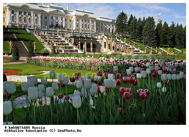 ��������, ������, �����-���������, ��������, ������, ������, �����