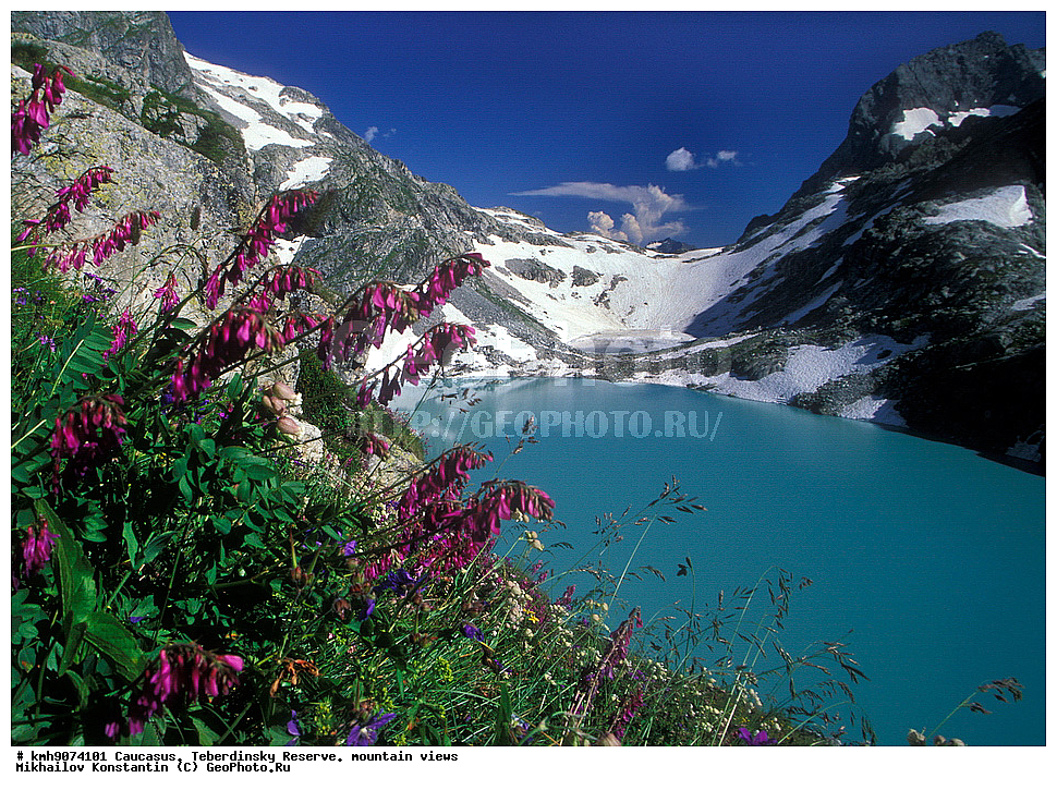 ������, ������������, ����������, �����, ��������, �����