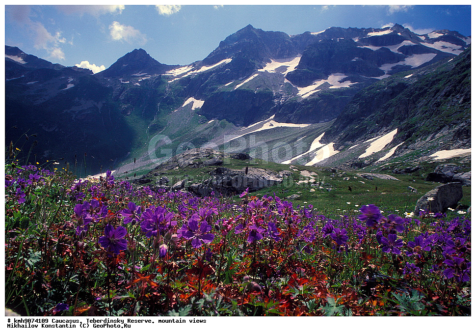 ������, ������������, ����������, �����, ��������, �����