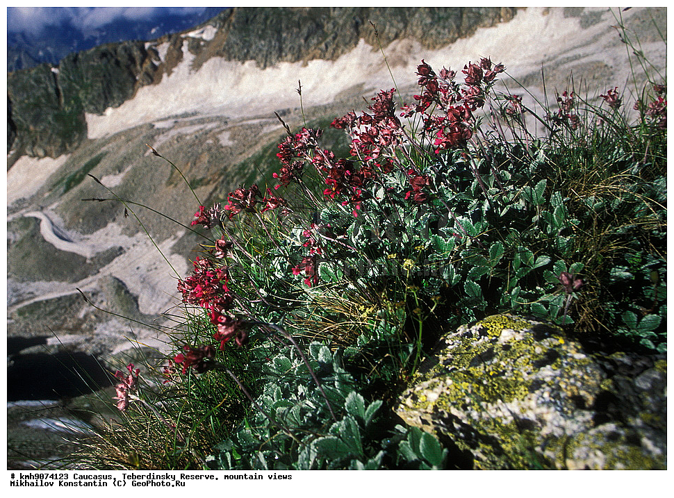 ������, ������������, ����������, �����, ��������, �����