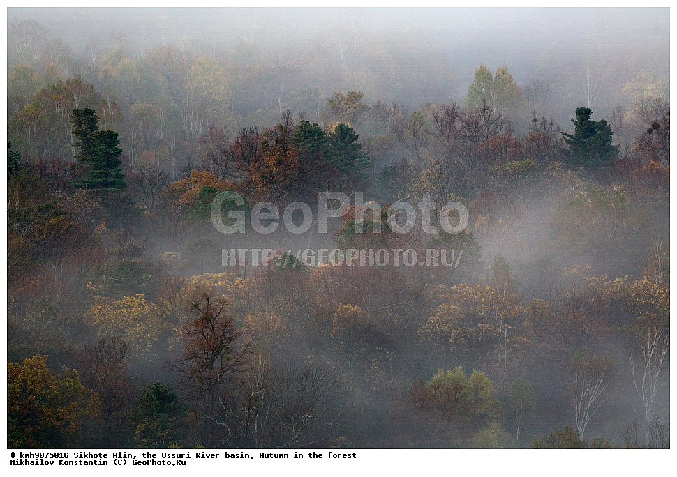 ������, �����, ������, �����, �����, ������-�����