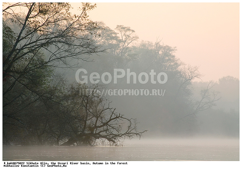 ������, �����, ������, �����, �����, ������-�����