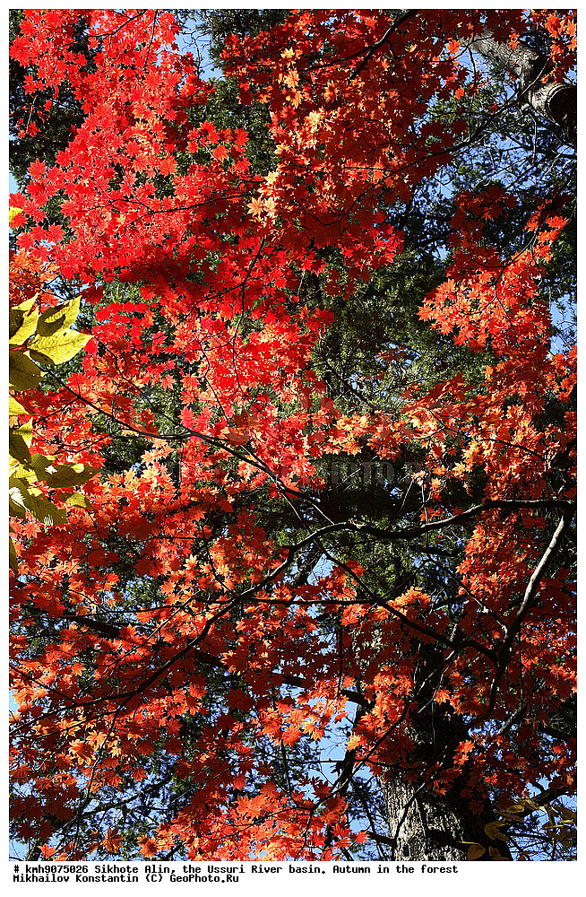 ������, �����, ������, �����, �����, ������-�����, ����, �������, �������� ����