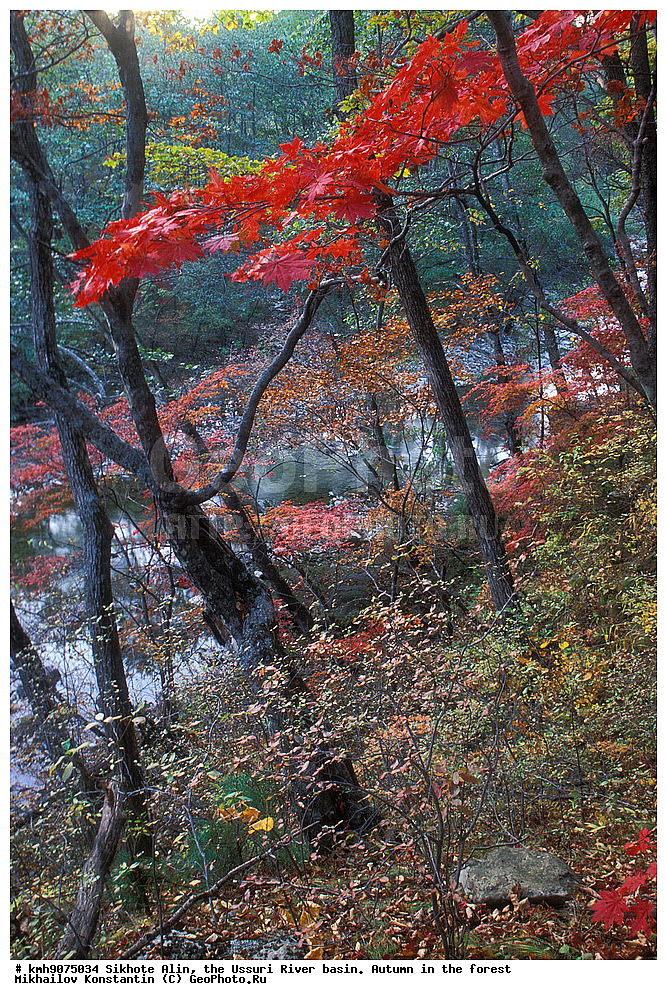 ������, �����, ������, �����, �����, ������-�����, ����, �������, �������� ����