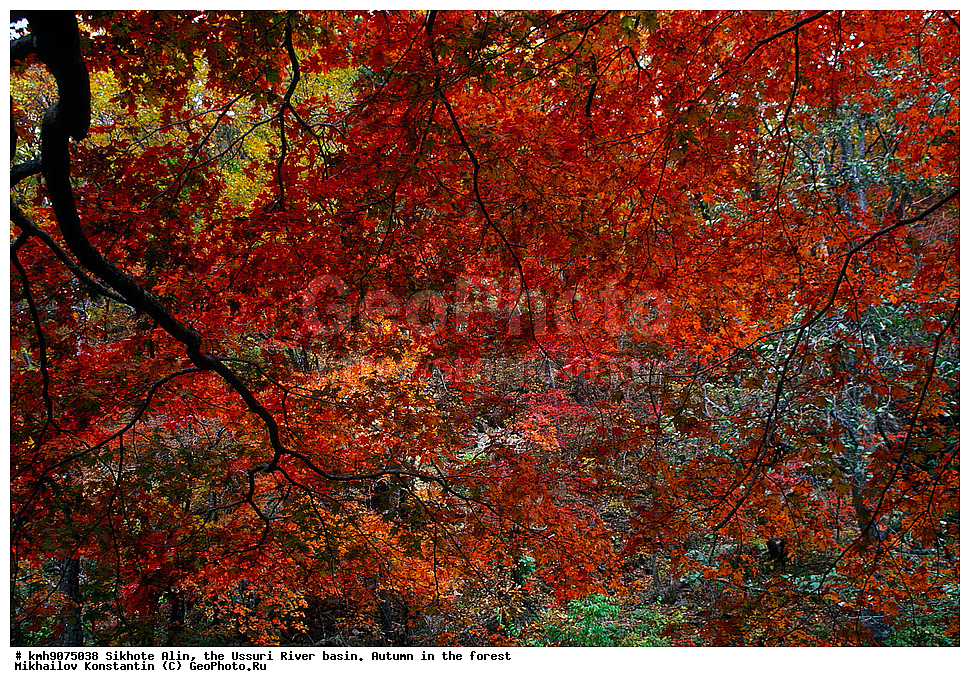 ������, �����, ������, �����, �����, ������-�����, ����, �������, �������� ����