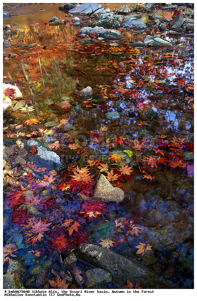 ������, �����, ������, �����, �����, ������-�����, ����, �������, �������� ����