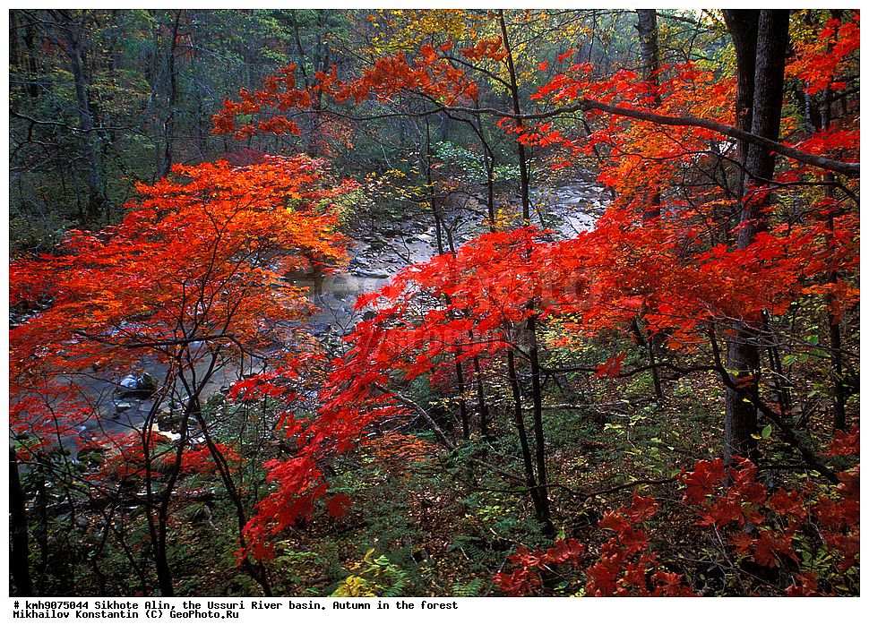 ������, �����, ������, �����, �����, ������-�����, ����, �������, �������� ����