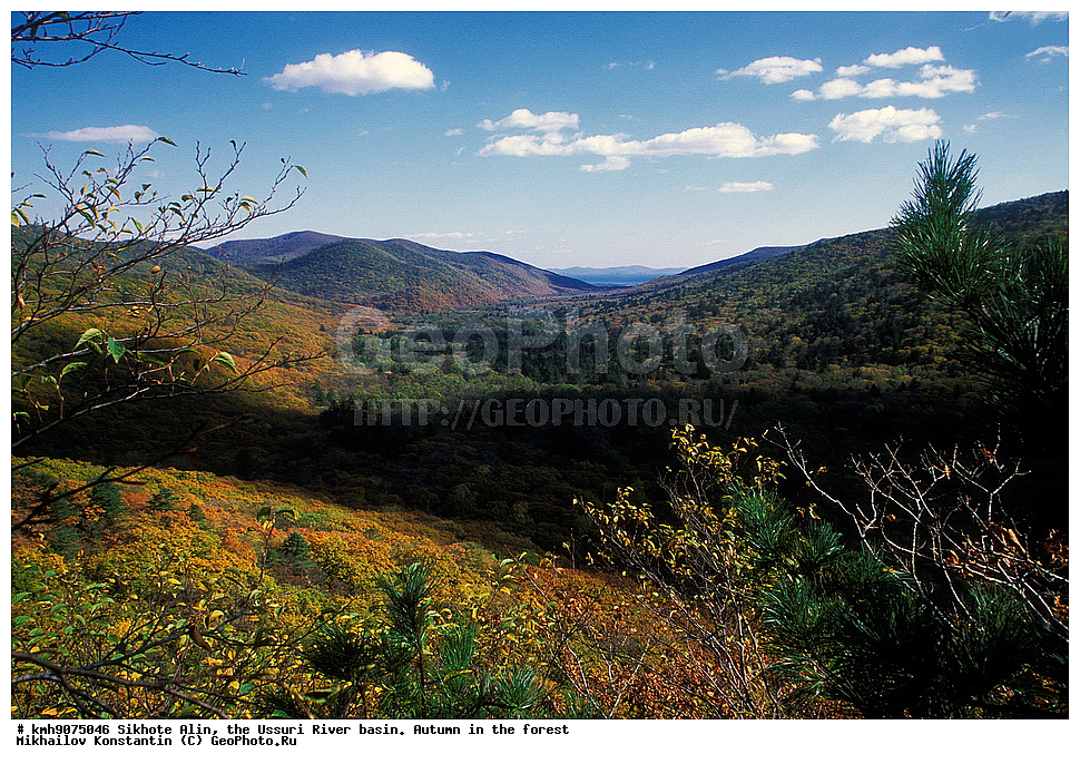 ������, �����, ������, �����, �����, ������-�����