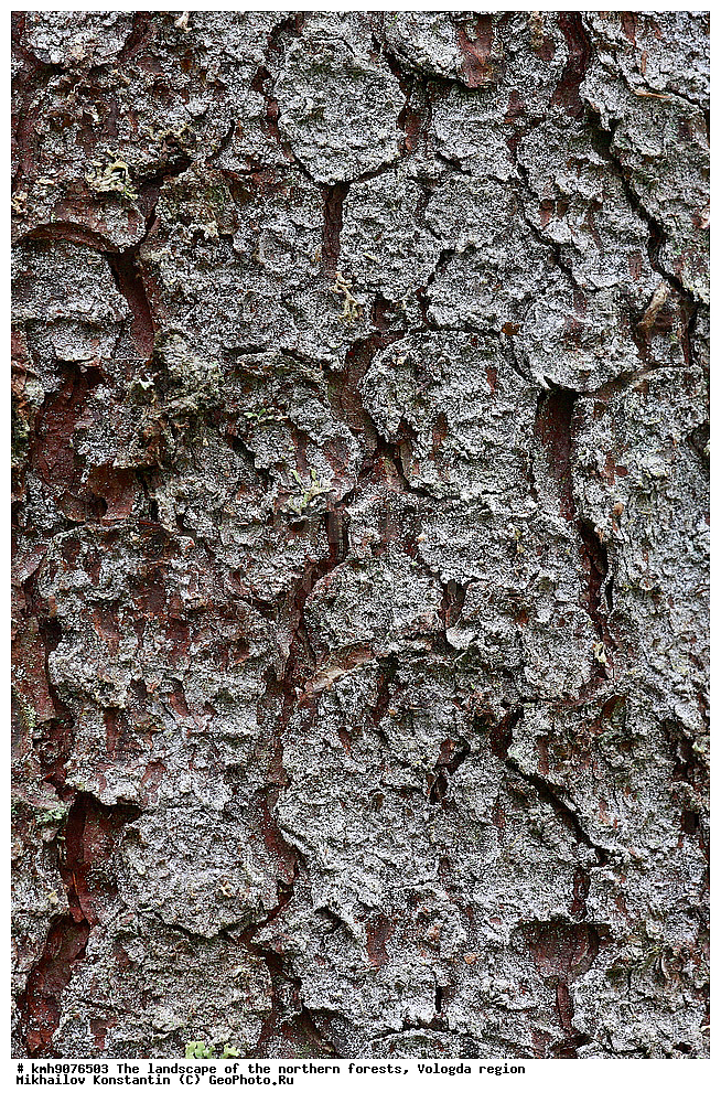 ������� �����, ���, �������, ���������, ����������, ��������, ���, ������������ ����, ������, �������, �����, �����, �����