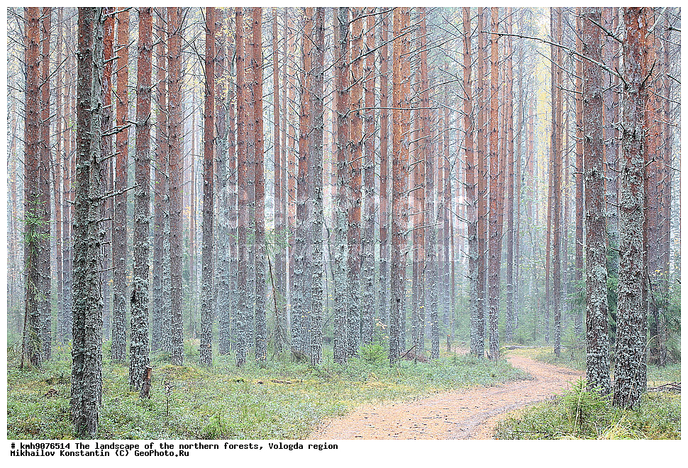 ��������, �������� ���, ���, ����������� �������, �������