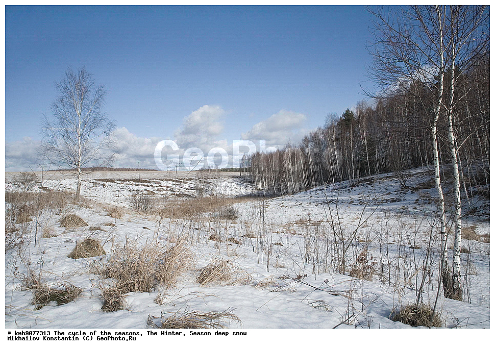 ������, ���, �������� �������., ����, ����, ���������, ����, ��������, ������, ������� ������, ��������� ������� �����������