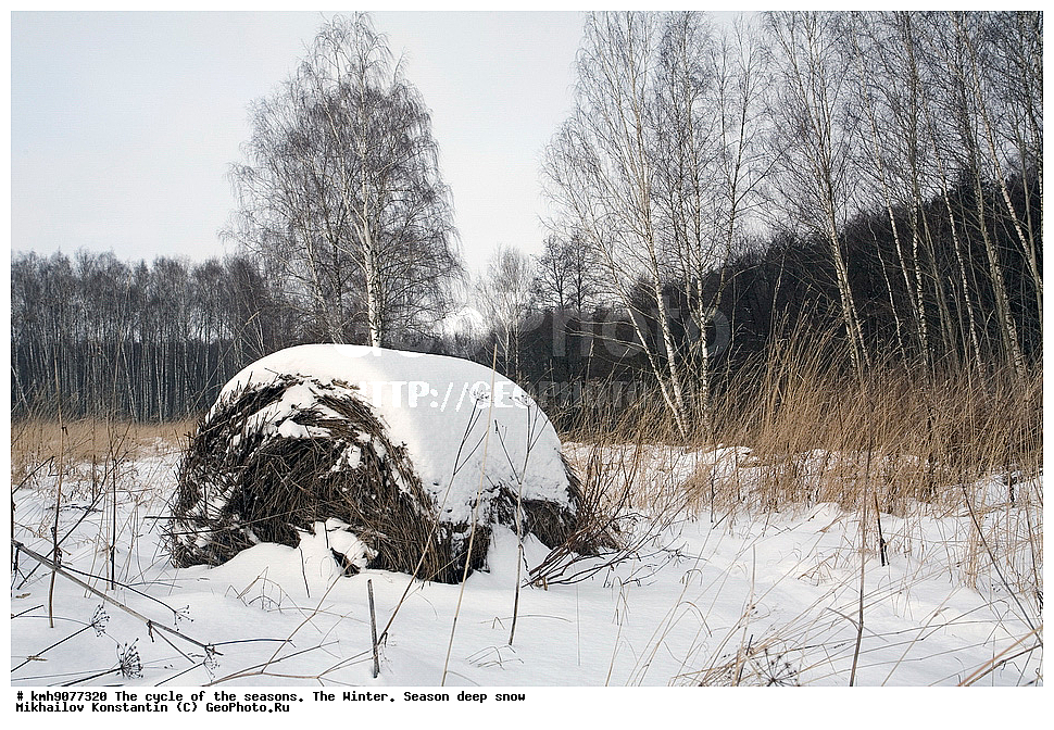 ������, ���, �������� �������., ����, ����, ���������, ����, ��������, ������, ������� ������, ��������� ������� �����������