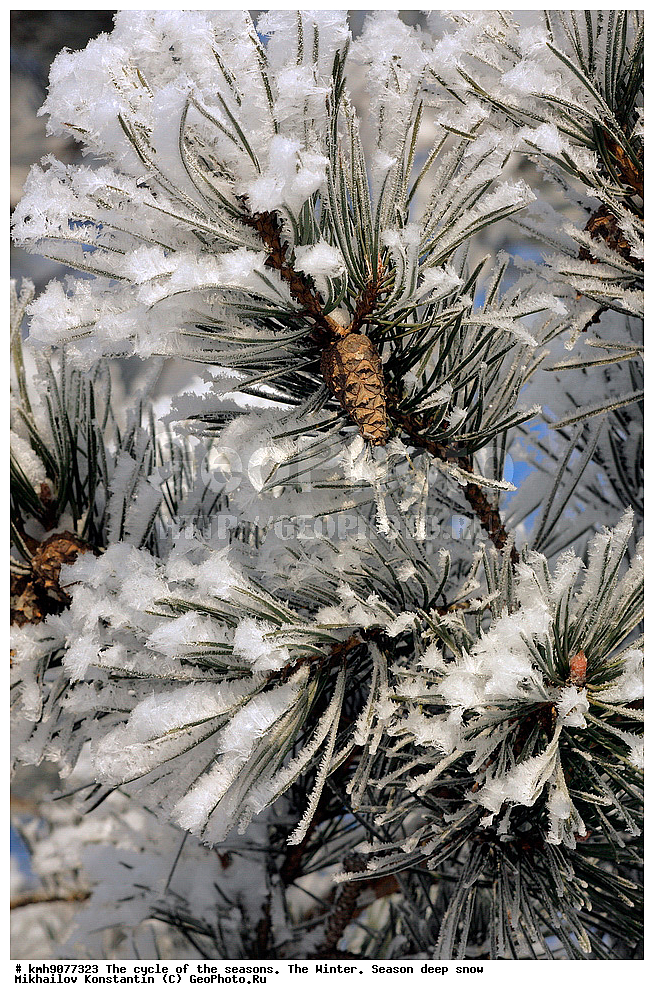 ������, ���, �������� �������., ����, ����, ���������, ����, ��������, ������, ������� ������, ��������� ������� �����������