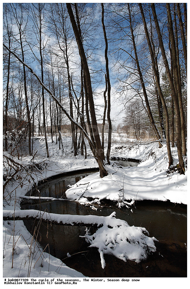 ���� � �����������, ������, �����, ������� ����, ������, ��������� ����