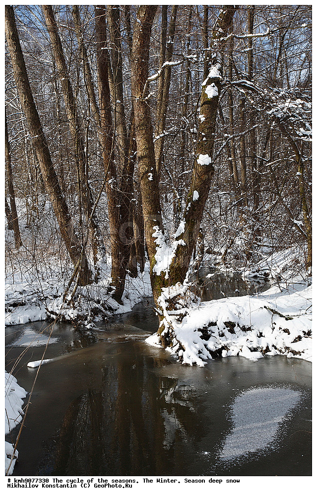 ���� � �����������, ������, �����, ������� ����, ������, ��������� ����