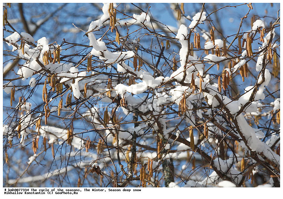  ���� � �����������, ������, ������� ����, ������. ������