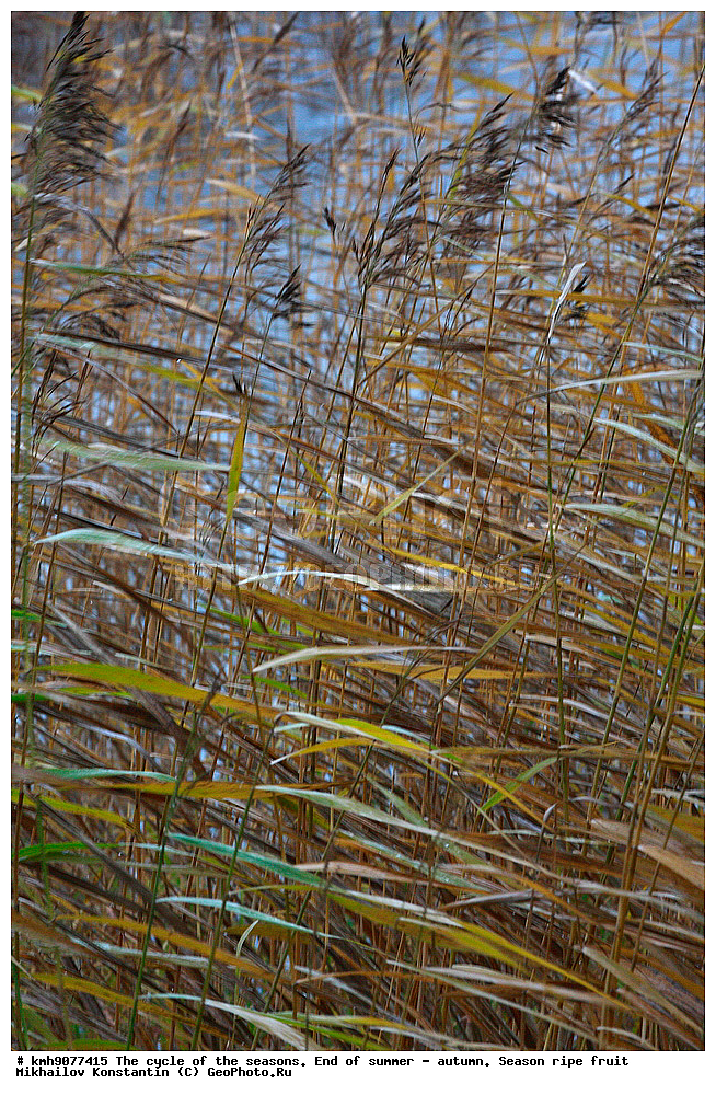  ��������, ������, �����, �����, ������, ��������