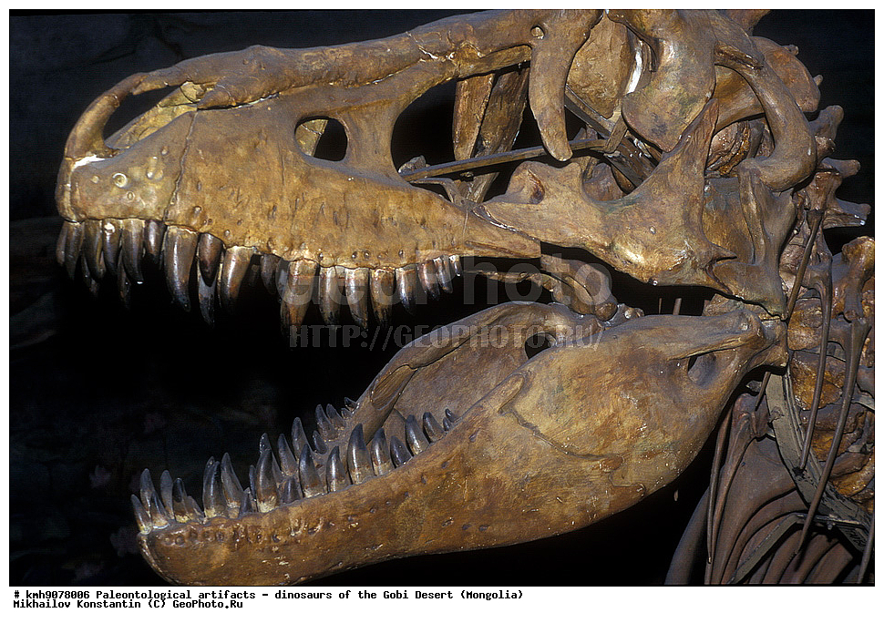 �������������, ��������, �������, ��������, �����, �������, ����, ��������