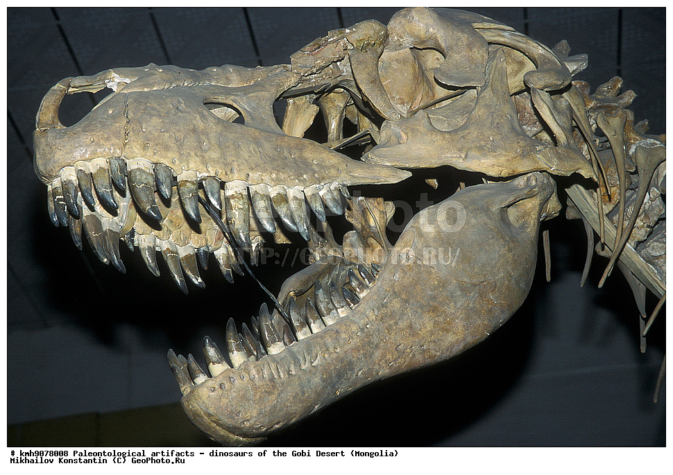 �������������, ��������, �������, ��������, �����, �������, ����, ��������