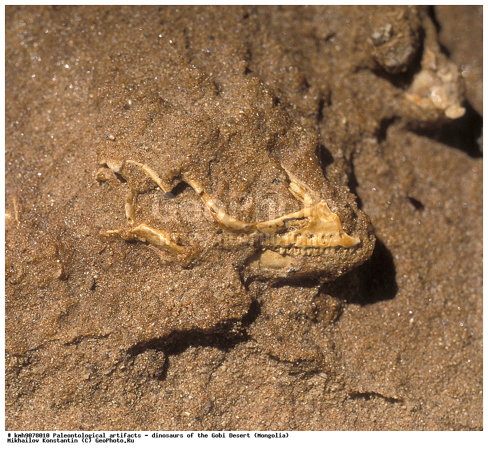 �������������, ��������, �������, ��������, �����, �������, ����, ��������