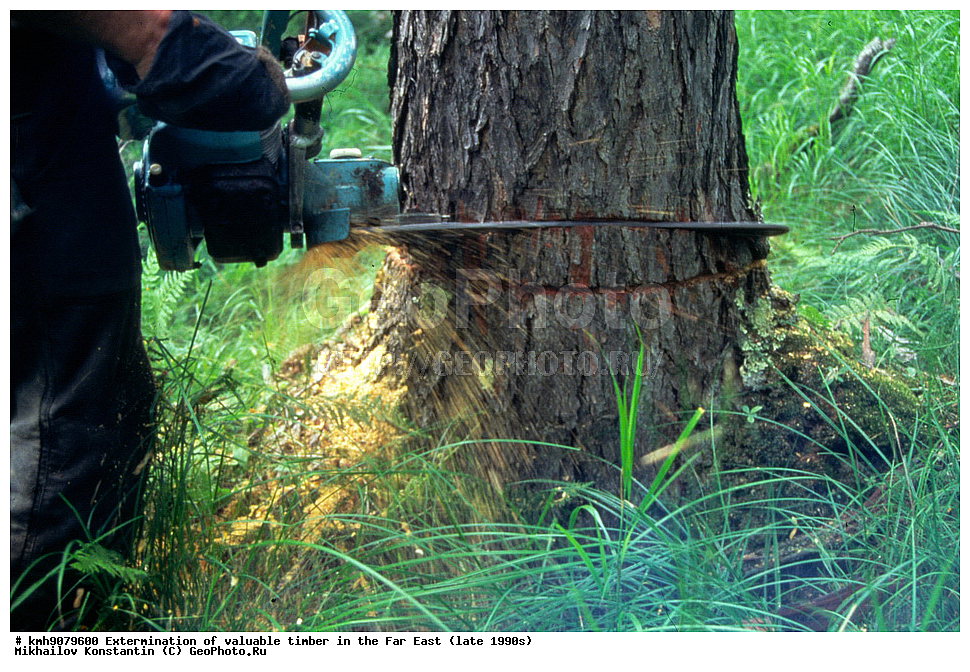 �����������, ���������, ������� ������, �������, ������