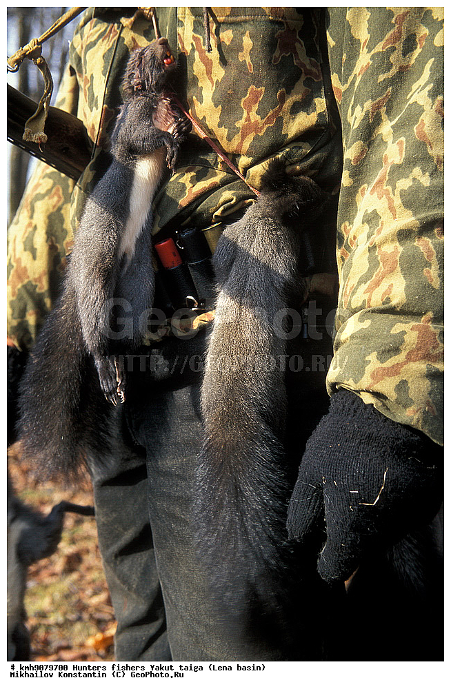 ��������, ������������, ������, �����, ������� ����