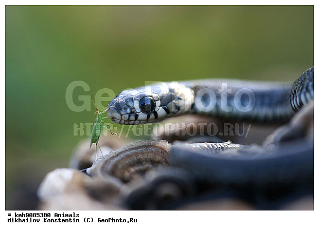 ����� � �����, ��������, ����, ��������, ������� ��, ��������������, ��������, ��, ��������