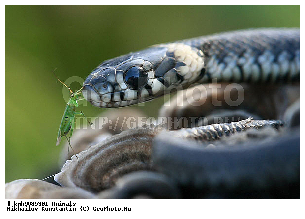 ����� � �����, ��������, ����, ��������, ������� ��, ��������������, ��������, ��, ��������