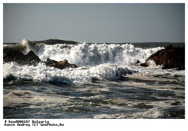 ���������, ����������, ������, �����, ���������, ������ �����, �����