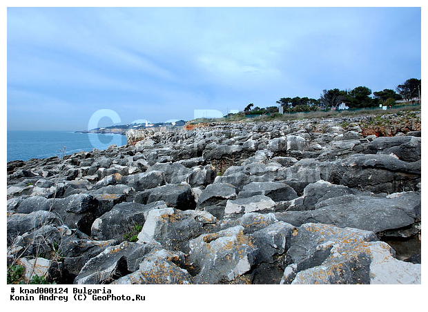 ���������, ����������, ��� �������, ���������, �����