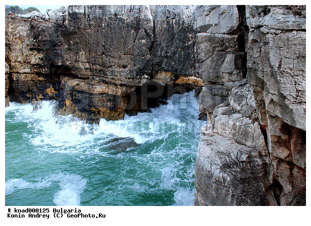 ���������, ����������, ������, �����, ��� �������, ���������, �����